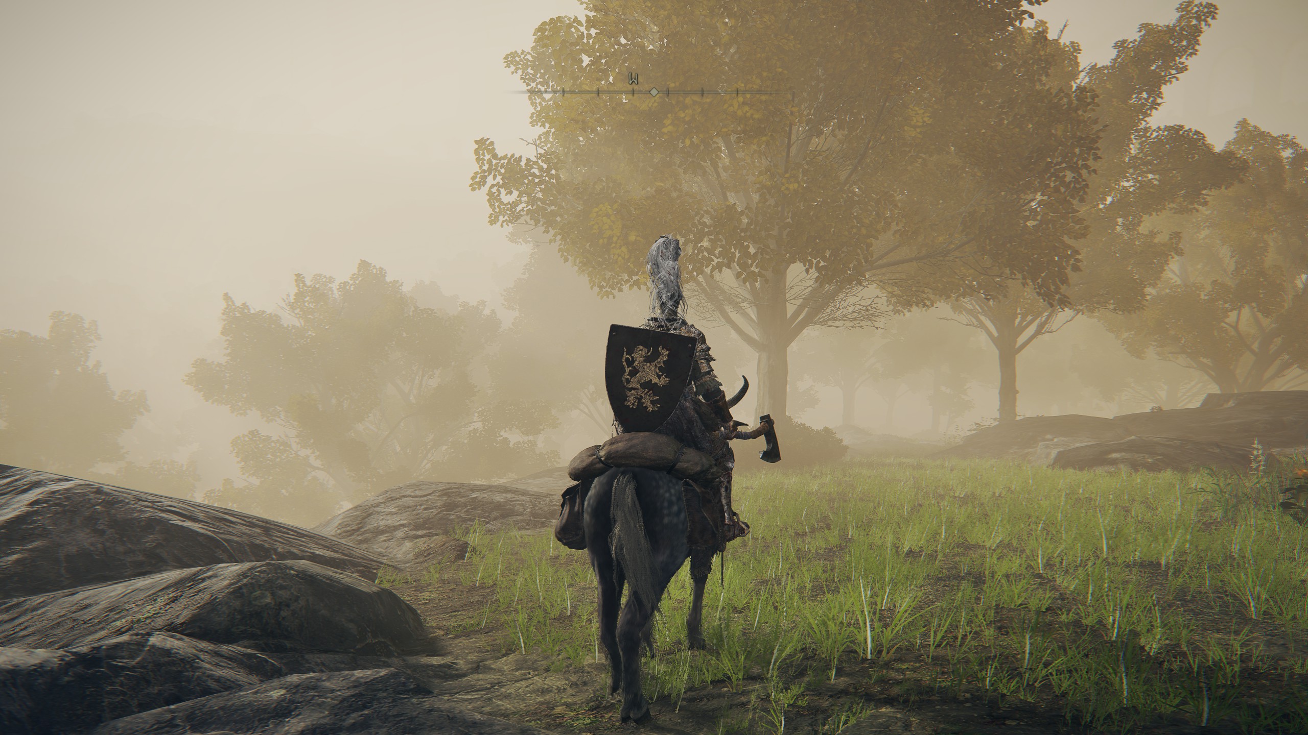 An Elden Ring landscape screenshot